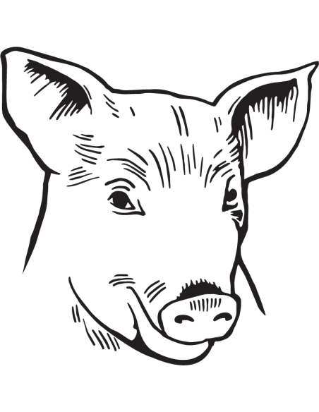 Sticker Tête de Cochon